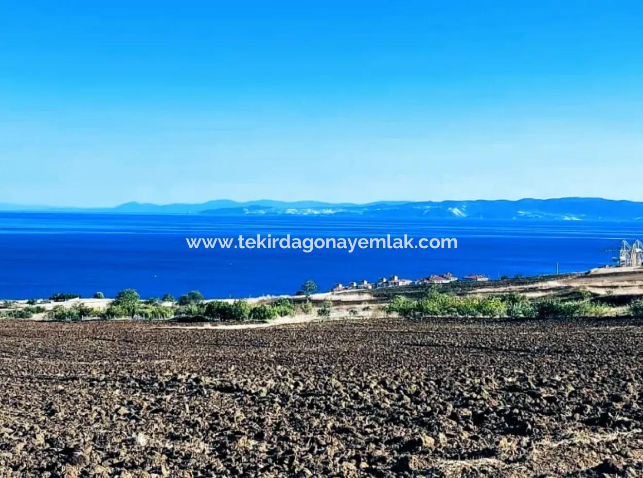 Tekirdağ Barbarosta Acil Satılık 50 Dairelik Kooparetif Ve Ste Yapmaya Uygun Kupon Yer