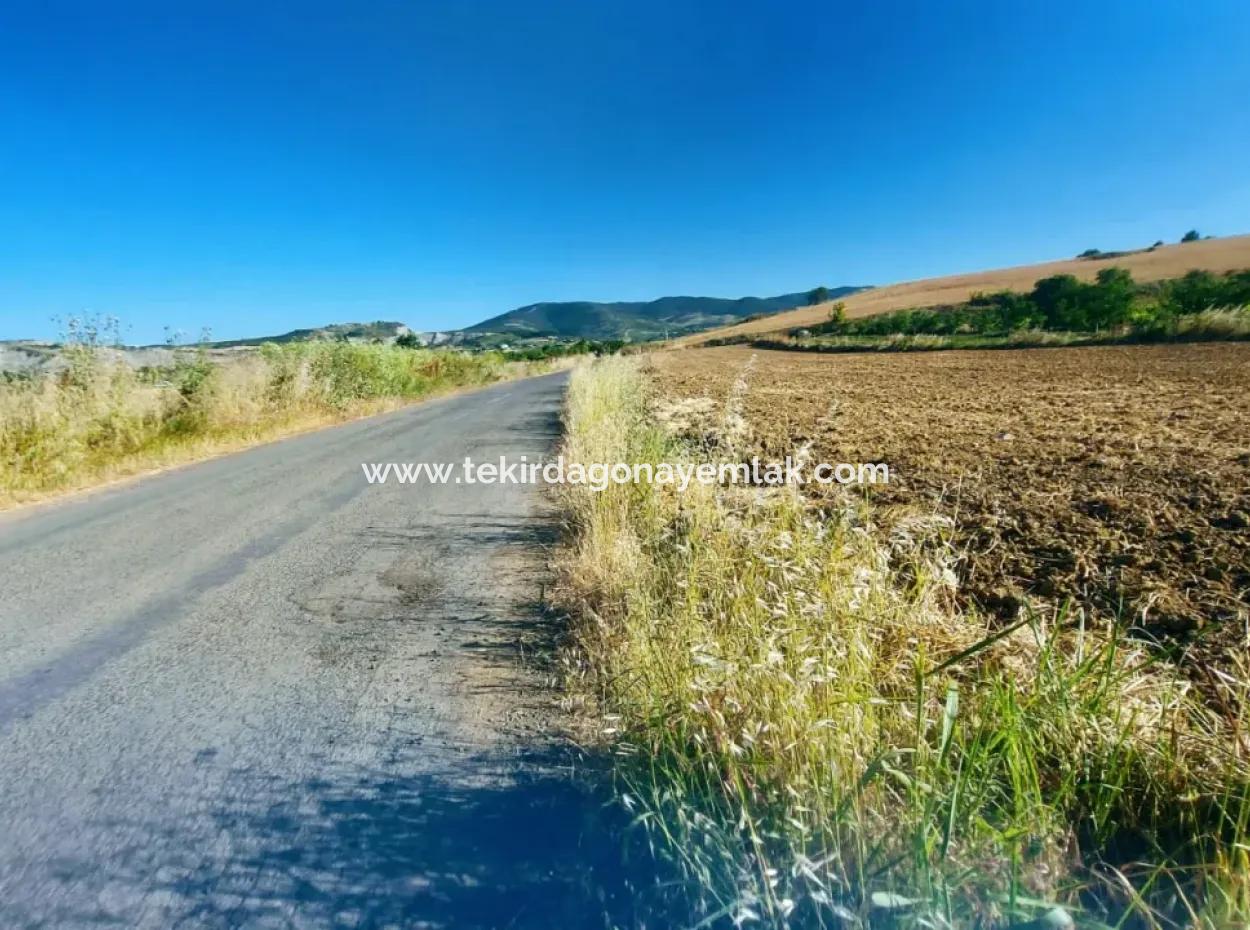 Tekirdağ Naip Mahallesinde Acil Satılık Anayol Cepheli Tıny House Koymaya Uygun Kupon Tarla