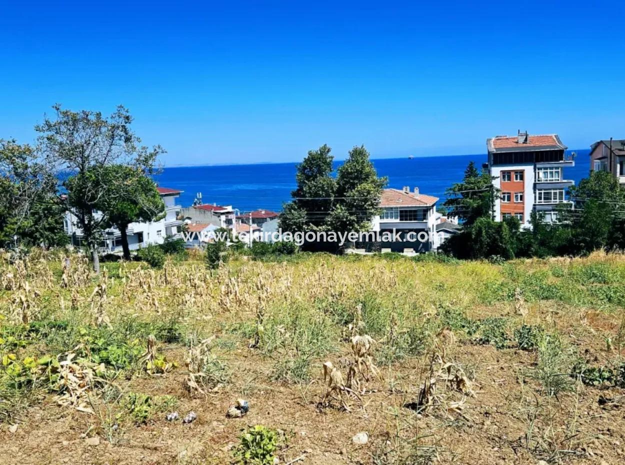 Tekirdağ Barbarosta Acil Satılık Anayol Cepheli Ticari + Konut İmarlı [ Bitişik Nizam ] Tamamına Yakın İnşaat Alanı Kupon Arsa