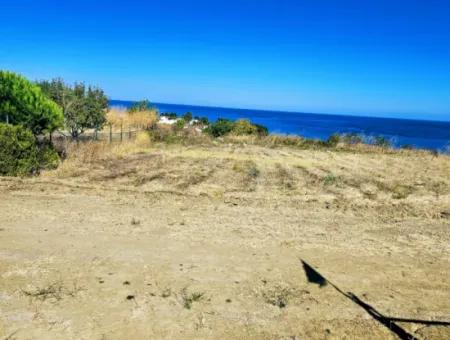 Tekirdağ Barbarosta Acil Satılık Full Deniz Manzaralı Müstakil Ev Yapmaya Uygun Kupon Arsa