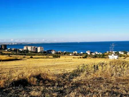 Tekirdağ Barbarosta  Acil Satılık 1.750 M2 Full Deniz Manzaralı Kelepir Köşe Arsa