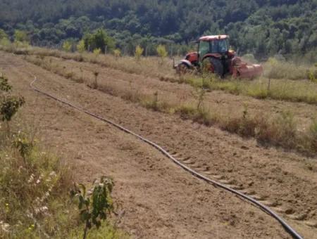 Acil Satılık 35 Dönüm Meyva Bahçesi İstersen Çiftlik Yeri De Kullanmaya Uygun Fırsat Yatırınlık Tarla