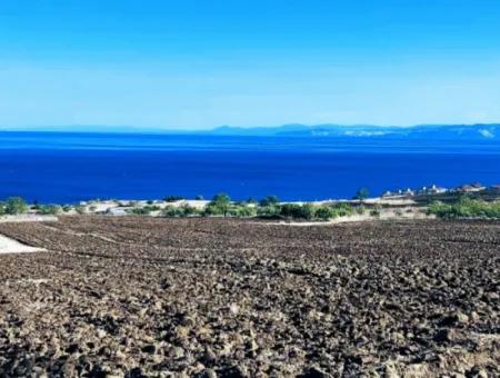 Tekirdağ Barbrosta Acil Satılık Yatırımcısına Yüksek Kazanç Garantisi 50 Dairelik Kooparetif Ve Site Yapımına Uygun Arazi