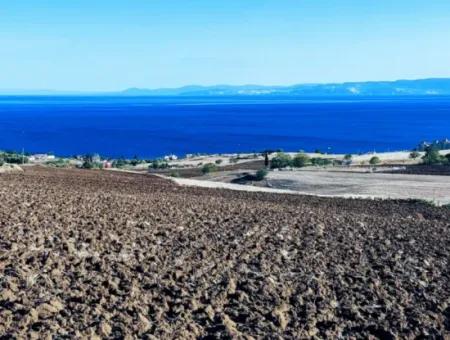 Tekirdağ Barbrosta Acil Satılık Yatırımcısına Yüksek Kazanç Garantisi 50 Dairelik Kooparetif Ve Site Yapımına Uygun Arazi