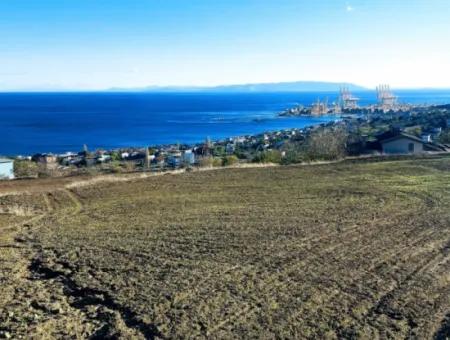 Tekirdağ Barbarosta Acil Satılık 42 Dairelik Kooparetif Site Yapımına Uygun Full Deniz Manzaralı Konut İmarlı Arazi