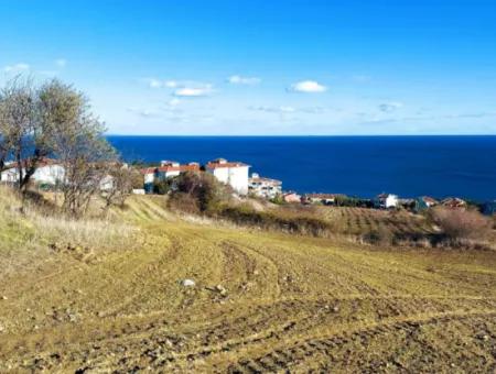 Tekirdağ Barbarosta Acil Satılık 42 Dairelik Kooparetif Site Yapımına Uygun Full Deniz Manzaralı Konut İmarlı Arazi