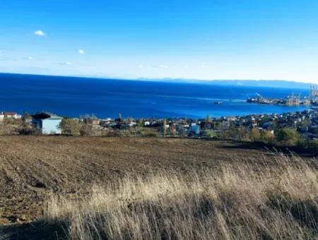 Tekirdağ Barbarosta Acil Satılık 42 Dairelik Kooparetif Site Yapımına Uygun Full Deniz Manzaralı Konut İmarlı Arazi