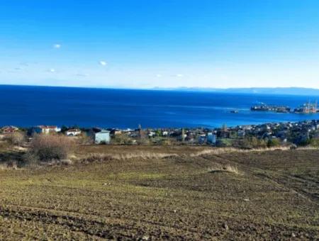 Tekirdağ Barbarosta Acil Satılık 42 Dairelik Kooparetif Site Yapımına Uygun Full Deniz Manzaralı Konut İmarlı Arazi