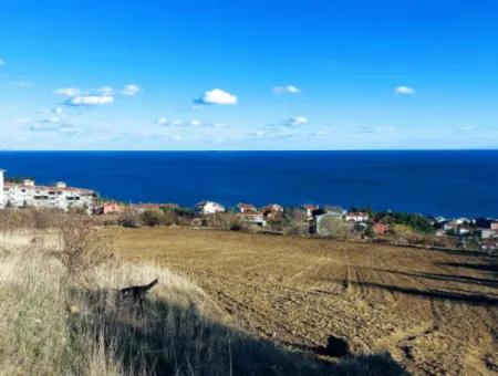 Tekirdağ Barbarosta Acil Satılık 42 Dairelik Kooparetif Site Yapımına Uygun Full Deniz Manzaralı Konut İmarlı Arazi