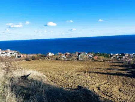 Tekirdağ Barbarosta Acil Satılık 42 Dairelik Kooparetif Site Yapımına Uygun Full Deniz Manzaralı Konut İmarlı Arazi