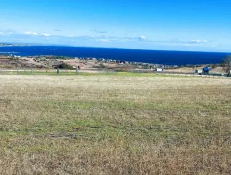 Tekirdağ Barbarosta Acil Satılık 15.000 M2 Villa İmarlı Arazi