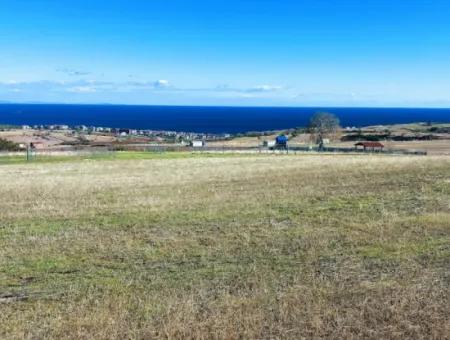 Tekirdağ Barbarosta Acil Satılık 15.000 M2 Villa İmarlı Arazi