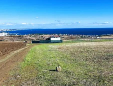 Tekirdağ Barbarosta Acil Satılık 15.000 M2 Villa İmarlı Arazi