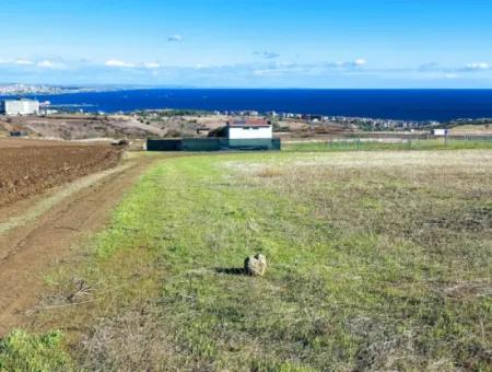 Tekirdağ Barbarosta Acil Satılık 15.000 M2 Villa İmarlı Arazi