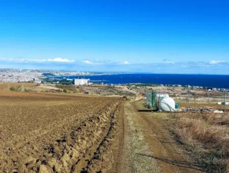 Tekirdağ Barbarosta Acil Satılık 15.000 M2 Villa İmarlı Arazi