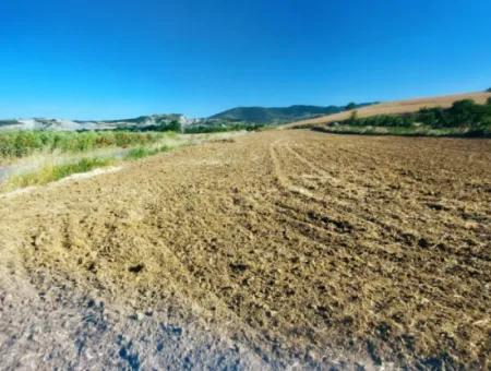 Tekirdağ Naip Mahallesinde Acil Satılık Anayol Cepheli Tıny House Kurmak İçin Harika Fırsat Tarla