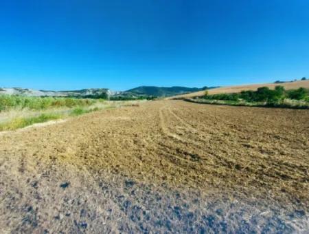 Tekirdağ Naip Mahallesinde Acil Satılık Anayol Cepheli Tıny House Koymaya Uygun Kupon Tarla