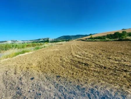 Tekirdağ Naip Mahallesinde Acil Satılık Anayol Cepheli Tıny House Koymaya Uygun Kupon Tarla