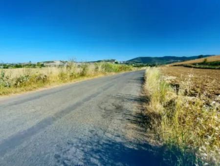 Tekirdağ Naip Mahallesinde Acil Satılık Anayol Cepheli Tıny House Koymaya Uygun Kupon Tarla