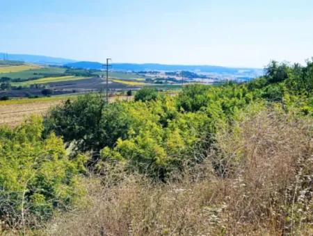 Tekirdağ Aşağkılıçlı Mah. Anayol Cepheli 2.340 M2 Al - Sata Uygun Yüksek Kazanç Vaaed Eden Acil Satılık Kupon Tarla