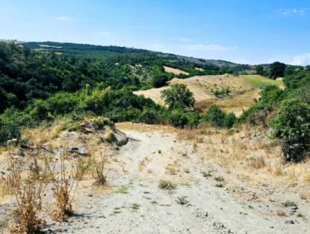 Tekirdağ Çanakçı Mahallesinde Kazançlı Yatırım Yapmak İsteyenler İçin Acil Satılık Kelepir Kopon Tarla