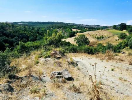 Tekirdağ Çanakçı Mahallesinde Kazançlı Yatırım Yapmak İsteyenler İçin Acil Satılık Kelepir Kopon Tarla