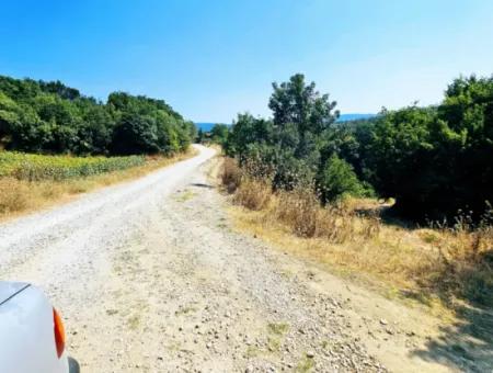 Tekirdağ Çanakçı Mahallesinde Acil Satılık Doğa Meraklılarına Tıny House Koymaya Uygun Anayol Cepheli Kupon Tarla