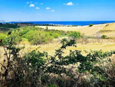 Tekirdağ Barbarosta Takas + Nakit İhtiyaçtan Acil Satılık Villa İmarlı Kupon Tarla