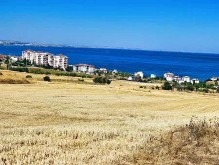 Tekirdağ Barbarosta Hayel Ettiğiniz Müstakil Ev Yapmaya Uygun Acil Satılık Kupon Arsa