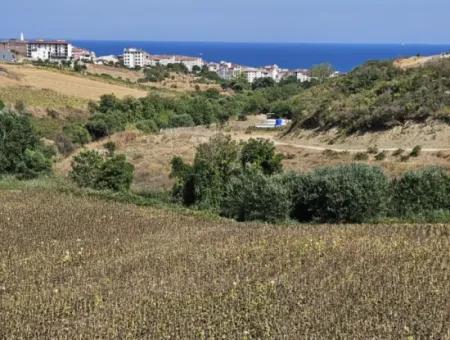 Tekirdağ Barbarosta Acil Satılık 9.100 M2 Villa İmarlı Tarla