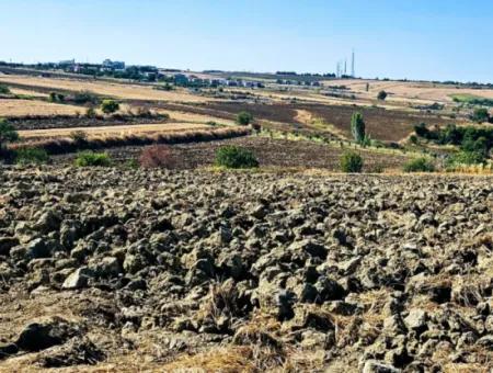 Tekirdağ Barbarosta Acil Satılık 2.650 M2 Villa İmarlı Yatırıma Uygun Kupon Tarla