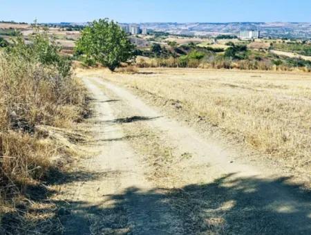 Tekirdağ Barbarosta Acil Satılık 2.650 M2 Villa İmarlı Yatırıma Uygun Kupon Tarla