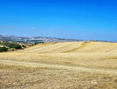 Tekirdağ Barbarosta Acil Satılık 2.650 M2 Villa İmarlı Yatırıma Uygun Kupon Tarla