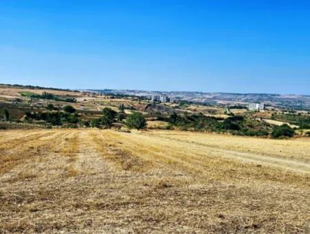 Tekirdağ Barbarosta Acil Satılık 2.650 M2 Villa İmarlı Yatırıma Uygun Kupon Tarla