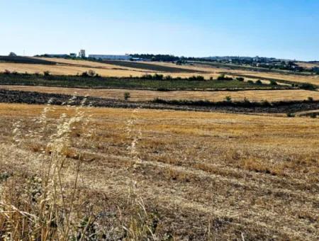 Tekirdağ Barbarosta Acil Satılık 2.650 M2 Villa İmarlı Yatırıma Uygun Kupon Tarla