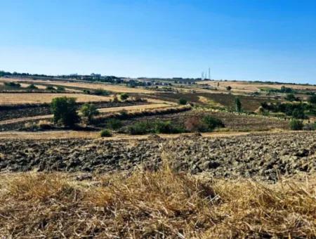 Tekirdağ Barbarosta Acil Satılık 2.650 M2 Villa İmarlı Yatırıma Uygun Kupon Tarla