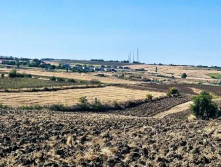 Tekirdağ Barbarosta Acil Satılık 2.650 M2 Villa İmarlı Yatırıma Uygun Kupon Tarla