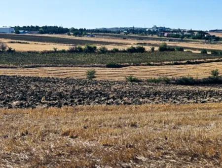 Tekirdağ Barbarosta Acil Satılık 2.650 M2 Villa İmarlı Yatırıma Uygun Kupon Tarla