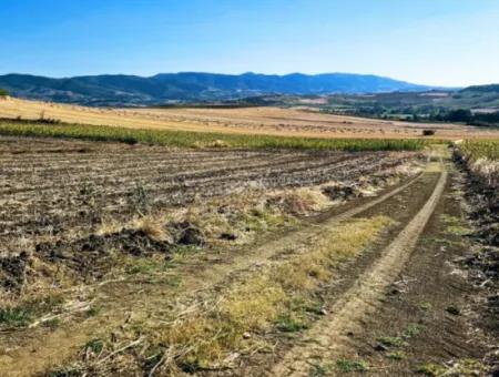 Asyaport Limanı Mevcut İmara Çok Yakın Yatırımlık Yapmak İsteyenler İçin Kaçırılmayacak Fırsat Arazi