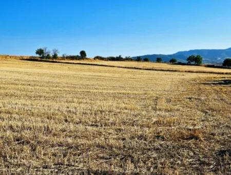 Azyaport Limanı Mevcut İmara Yakın 16.100 Acil Satılık Yatırımlık Kelepir Kupon Tarla