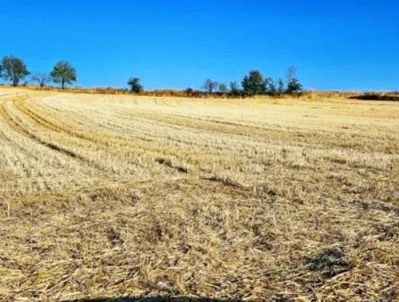 Azyaport Limanı Mevcut İmara Yakın 16.100 Acil Satılık Yatırımlık Kelepir Kupon Tarla