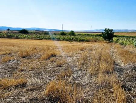 Asyaport Limanı Mevcut İmar Planı İçinde ( Ticari & Sanai ) Alanı Yatırımlık Kupon 8.100 M2 Tarla